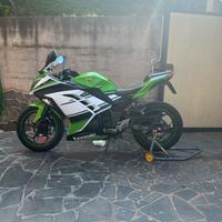 Kawasaki ninja 30th anniversario