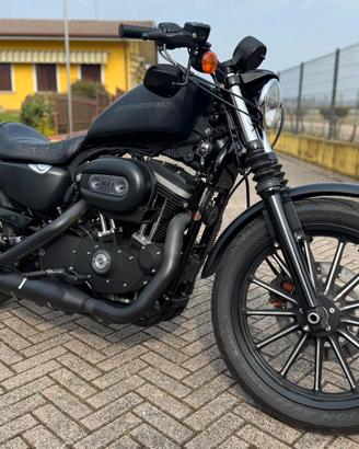 Harley Davidson Sportster 883