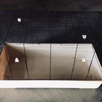 Gabbia per criceti con accessori