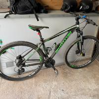 Bici Bottecchia – mountain bike FX 116 ruote 29