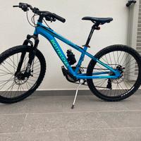 Bicicletta