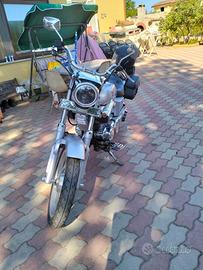 zs 250