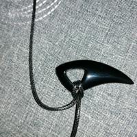 Collana acciaio ciondolo dente di lupo uomo ragazz