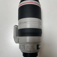 Canon EF 100-400mm 1:4.5-5.6 L IS II USM
