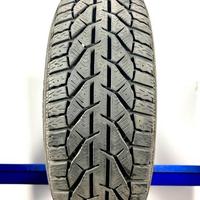 Riken 225/55 R19 103T M+S invernali