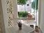 Immagine 12