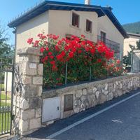 Casa vacanze "A due passi dai lupi"