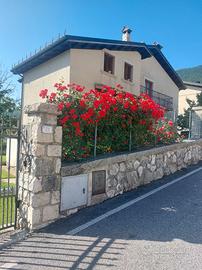 Casa vacanze "A due passi dai lupi"