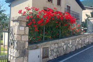 Casa vacanze "A due passi dai lupi"