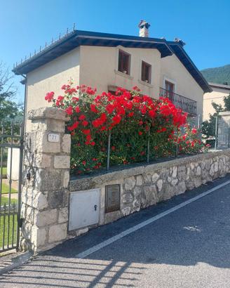 Casa vacanze "A due passi dai lupi"