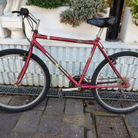 Bicicletta Mountain Bike