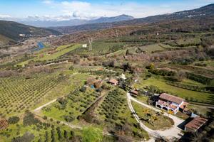 Sessa Aurunca (CE) - Azienda 45 ha. | AZ285