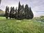 Immagine 10