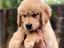 Immagine 16