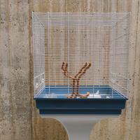 Gabbietta uccellini con piedistallo e ruote