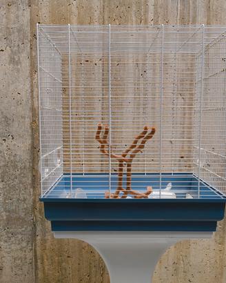 Gabbietta uccellini con piedistallo e ruote