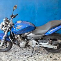 Hornet 600