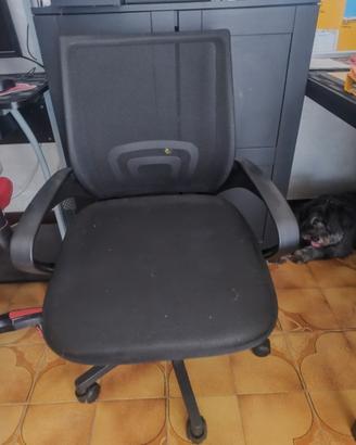 sedia da ufficio