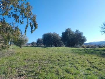 Azienda agricola in Toscana con casolare rustico