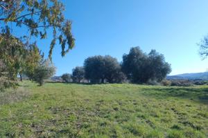 Azienda agricola in Toscana con casolare rustico