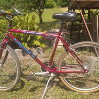 Bicicletta MTB
