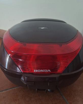 bauletto sh
