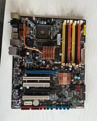 Scheda madre asus P5KC e processore