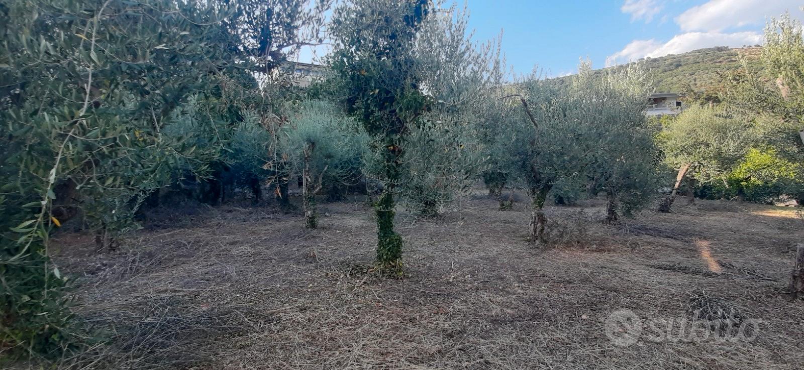 Vendita terreno - Vista 3