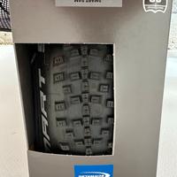 2 Copertoni Swalbe Smart Sam