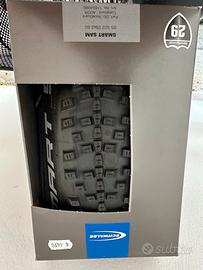 2 Copertoni Swalbe Smart Sam