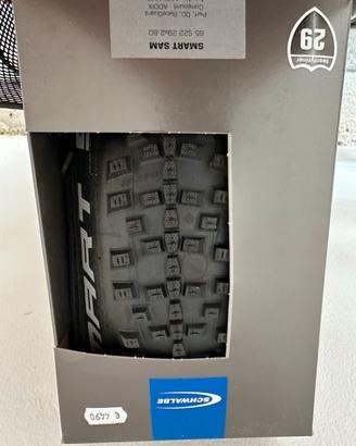 2 Copertoni Swalbe Smart Sam