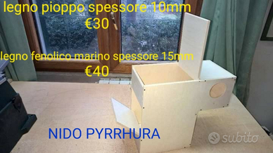 Nido per pyrrhura (NUOVO)