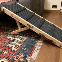 iPetba Rampa per Cani