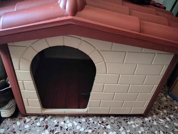 cuccia per cani 