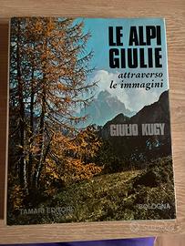 Le Alpi Giulie attraverso le immagini -Giulio Kugi