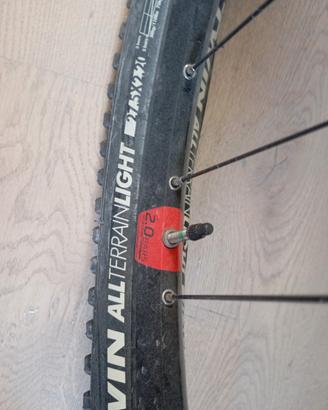 2 st 100 pedalata assistita 