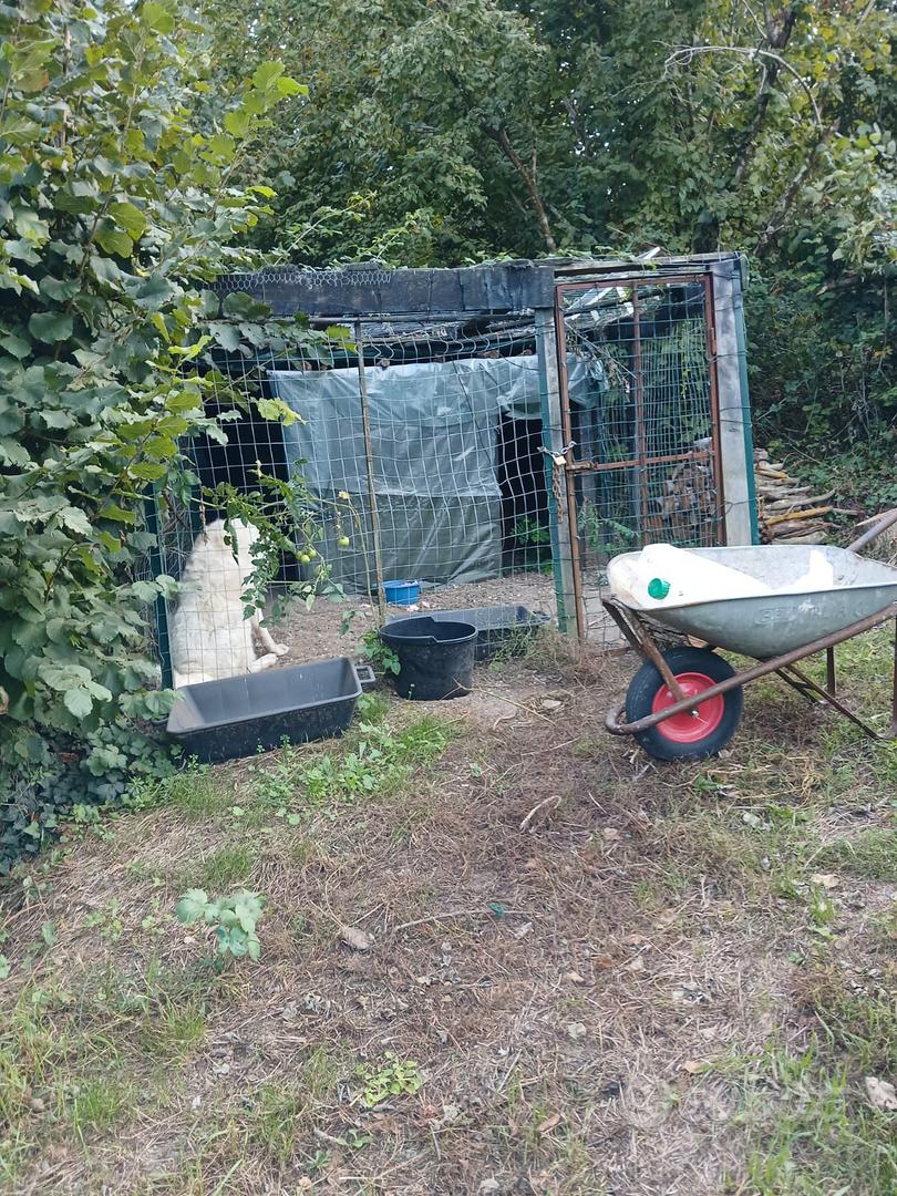 Terreno a Vitorchiano loc. Poggio Pasquale - Vista 2