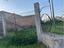 Immagine 22