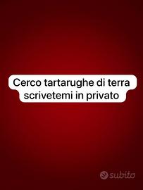Tartarughe da terra