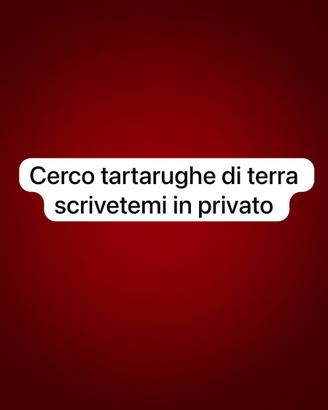 Tartarughe da terra
