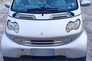 Smart fortwo 450