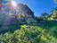Immagine 25