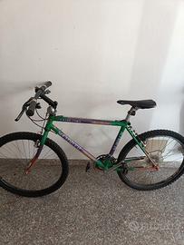 Bici Mountain bike