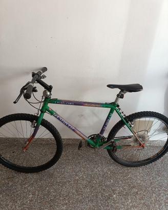 Bici Mountain bike