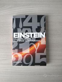 Leonardo Gariboldi - Einstein