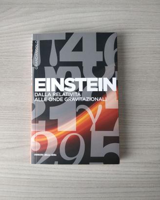 Leonardo Gariboldi - Einstein