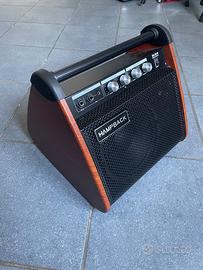 Cassa Monitor Amplificata Per Batteria Digitale