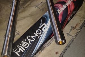 forcelle andreani per ducati Monster 620