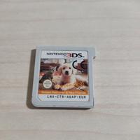 NINTENDOGS + Cats Golden Retriever Nintendo 3ds