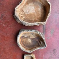 porta acqua per terrario